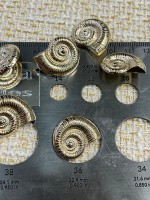 ✨ Premium Gold Metal Düğme – Spiral Deniz Kabuğu Desenli 23 MM 6 ADET