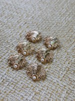 İnci Detaylı Gold Kabuk Tasarım Metal Düğme – 6 Adet (22 mm)